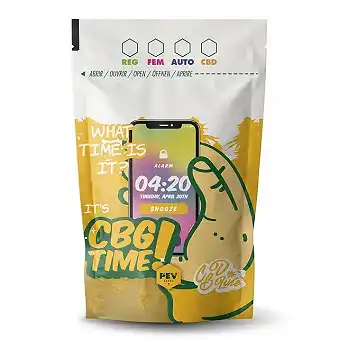 CBG Time Marijuana Bag 9 x...