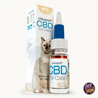 2 % CBD-olje for katter –...