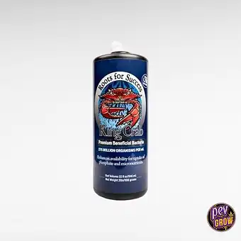 Plant Success King Crab –...