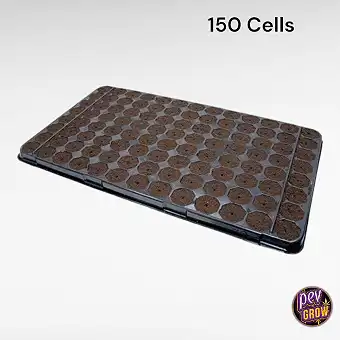 Plugins Tray 150 Cells...