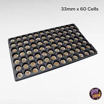 Jiffy Tray 33mm 60 Cellen ·...