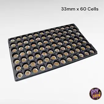 Jiffy Tray 33mm 60 Cells