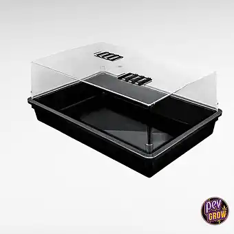 Propagador para Esquexes –...