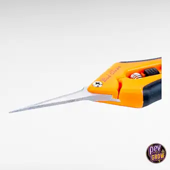 Bud Clean taisnie griezēji...