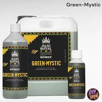 Juju Royal Green Mystic...