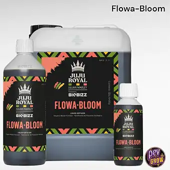 Juju Royal Flowa Bloom BioBizz