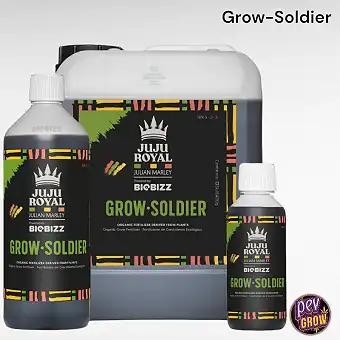 Juju Royal Grow Soldier...