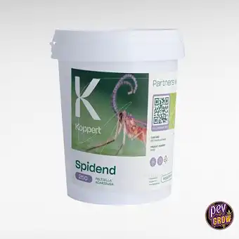 Spidend 250 Seau 550 ml...