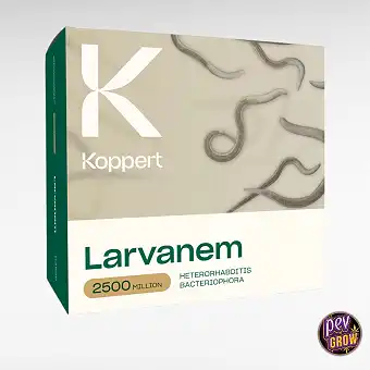 Larvanem 50 gegen Bodenlarven