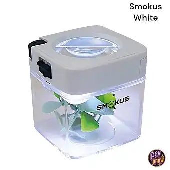 Smokus Focus Comet – Frasco...