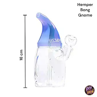 Bong in vetro Trippy Gnome...