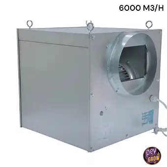 Metallic Tornado Softbox...