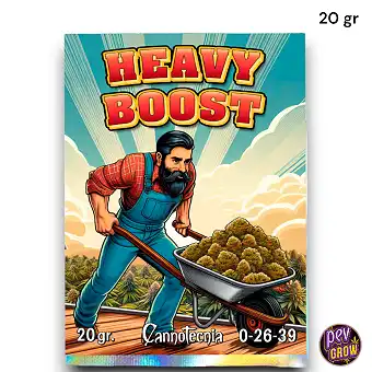 Heavy Boost Cannotecnia –...
