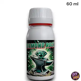 Diamond Rock Cannotecnia –...