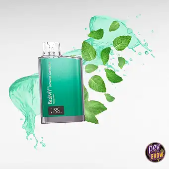 Balmy Power Crystal Fresh...