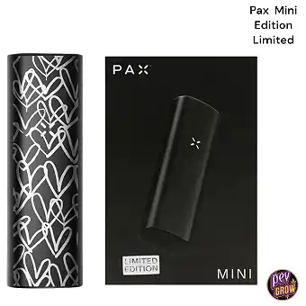 Pax Kit JGolcrown Mini (...