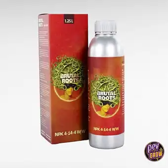 Brutal Roots – Errazio...