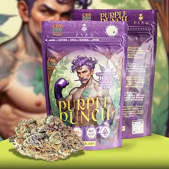 Flores CBD Purple Punch –...