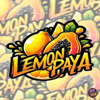 Lemonpaya