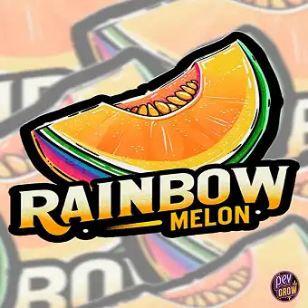 Rainbow Melon