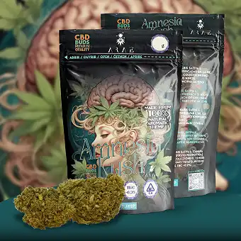 Amnesia Kush CBD Bloemen –...