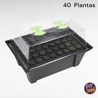 Propagador Aeropónico...