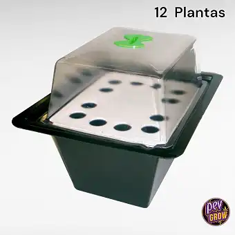 X-Stream 12 Plantas -...