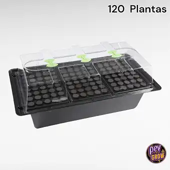 X-Stream Aeroponic...