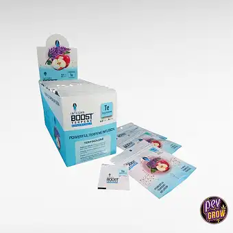 Integra Boost 62%...