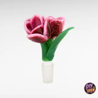 Bong Bowl Tulip Pink –...