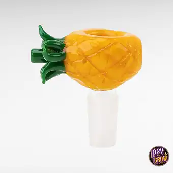 Cazoleta de Vidro en Forma...