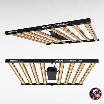 Dimlux Xplore Series LED...