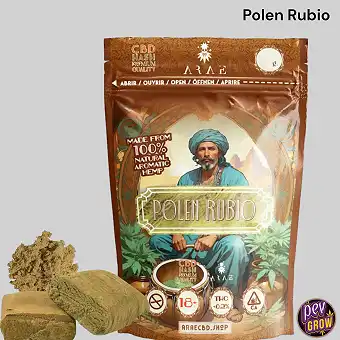 Pollen Rubio CBD