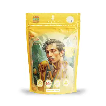 Mango Haze Odor-Proof Bag 9...