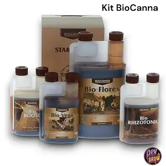 Kit Inicial Biocanna –...