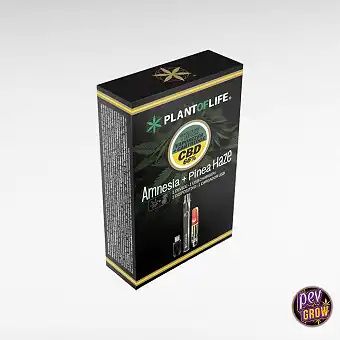 Vape-pakke 66 % CBD Amnesia...