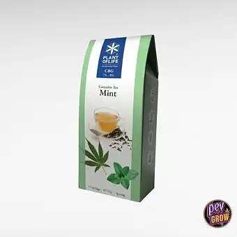 Té de Menta con 8% de CBG