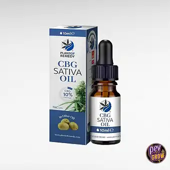 Olio d'Oliva con 10% CBG 10ml