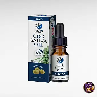 Olive Oil with 20% CBG 10ml