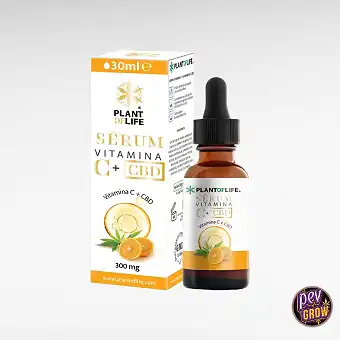 Serum Vitamin C und CBD 30ml