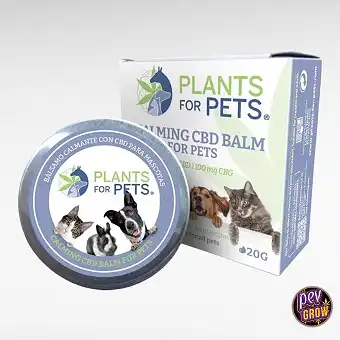 Pets Calming Balm 20g