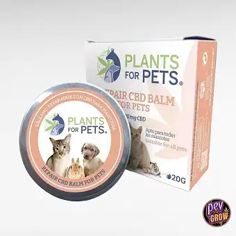 Baume Réparateur Pets 20g