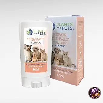 Pets Stick Reparador 12g