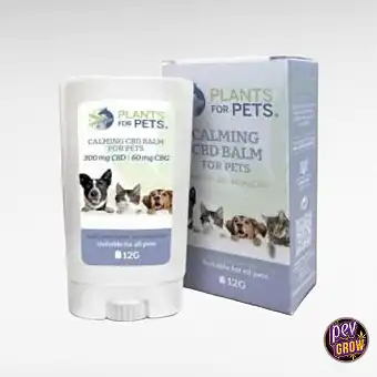 Pets Calming Stick 12g