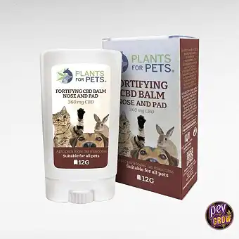 Pets Stick Fortifying 12g