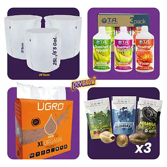 Kit Mineral com Substrato e...