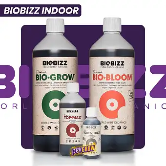 Kit Biobizz Indoor