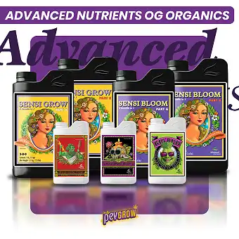 Kit Advanced Nutrients básico