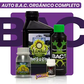 Kit Autofiorenti B.A.C....