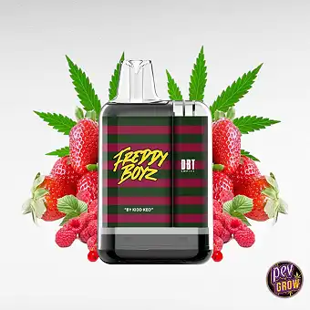 Pod Jetable Freddy Boyz CBD...